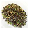 SKUNDAN0030- ARNA’S 25 GM PACK OF SIZE 4 MM X 4 MM TRANSPARENT GREEN ROUND MOTIF STICKING KUNDAN FOR EARRING| JEWELLERY MAKING